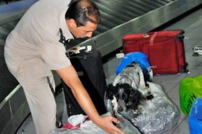 Cuba maintains its Fierce Fight against Drug Trafficking