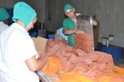 Agasajan labor de centros productores de alimentos en Sancti Spíritus