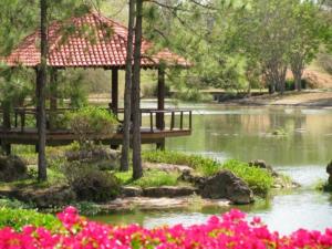 Jardín Botánico Nacional 