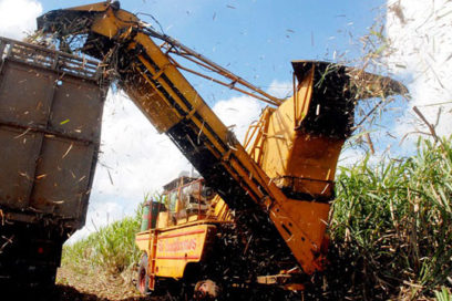 Ciego de Ávila: CTC por mayor eficiencia económica
