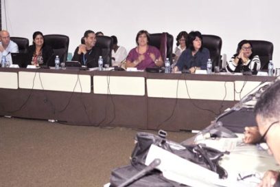 Presentan resultados preliminares  de la Encuesta Nacional de Igualdad de Género