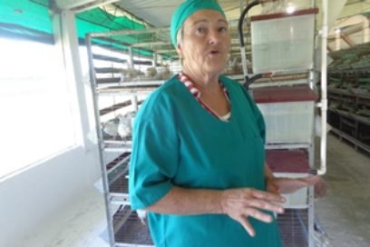 La pasión de María Josefa