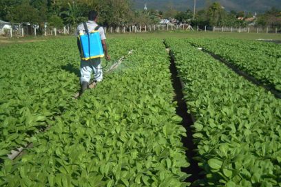 Exigen pago por condiciones laborales anormales