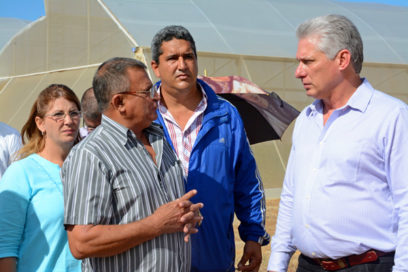 Aprecia Díaz-Canel recuperación citrícola en Isla de la Juventud