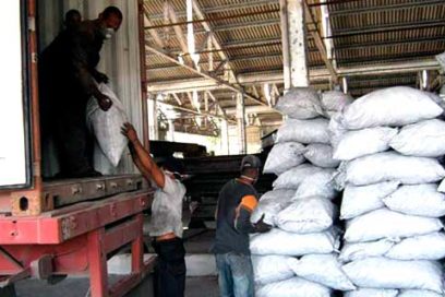 Viaja a Europa carbón vegetal de Las Tunas