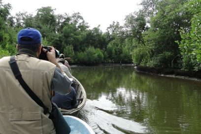 Enfrentamiento al cambio climático: Tarea para todos