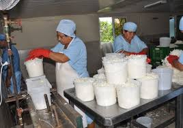 Industria Alimentaria Sancti Spíritus