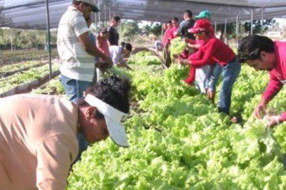 El presente son los jóvenes