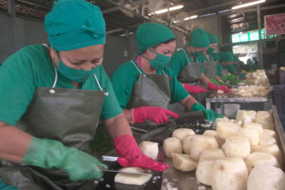 Agroindustriales avileños por la sostenibilidad alimentaria