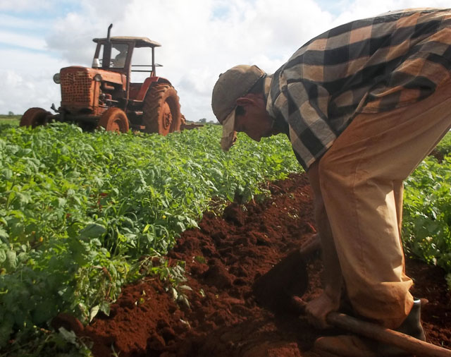 Arrimarse más al surco