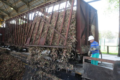 UEB Central Majibacoa: sin renunciar al plan