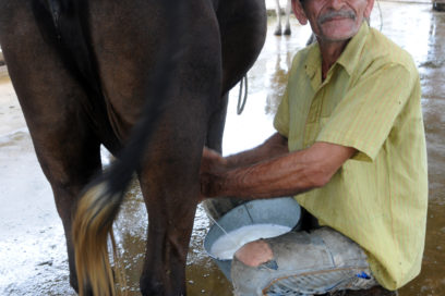 Producir más es el plan ideal