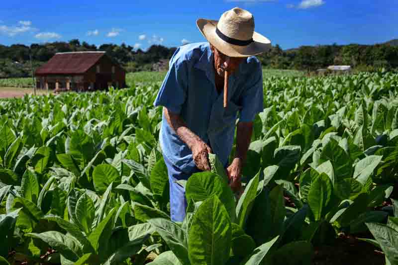 Foto tomada de Trabajadores