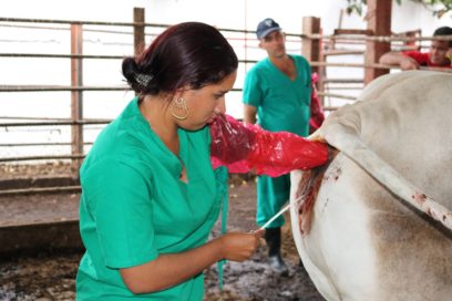 Sueños con nombre de Mujer