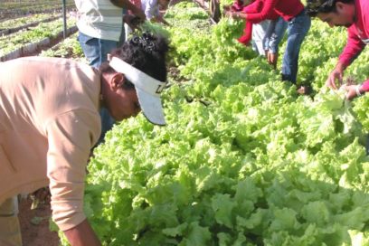 Primero de Mayo: Con las banderas del trabajo creador
