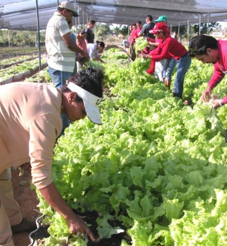 Trabajo voluntario en saludo al Primero de Mayo