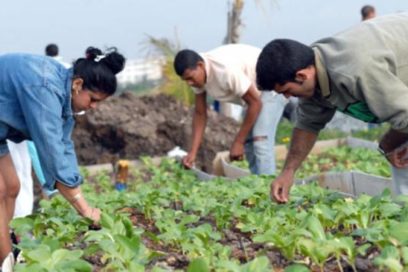 Trabajo  voluntario por la juventud