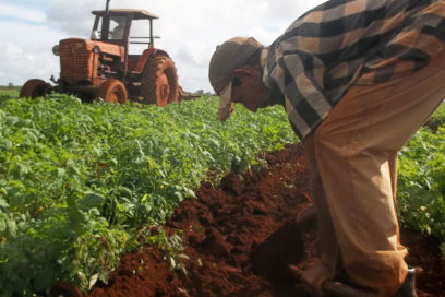 Más que pie en tierra