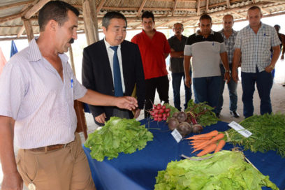 Japan, Cuba Increase Agricultural Agreements in Camagüey