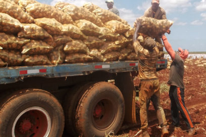 Compromiso y victorias en Ciego de Ávila