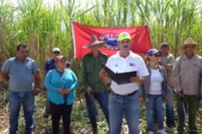 Activa jornada de domingo en Holguín