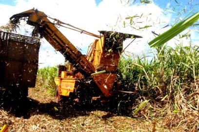 Millonarios azucareros saludan el Primero de Mayo