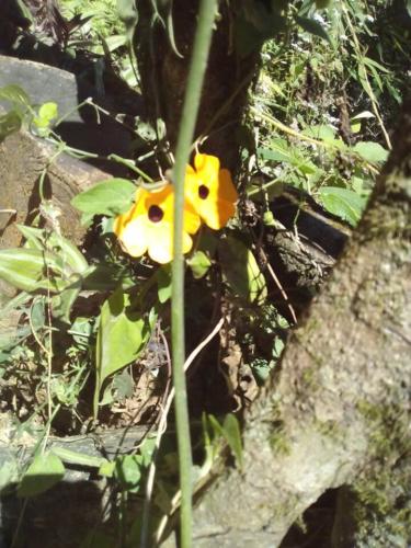 Foto: Ariadna Pérez Valdés