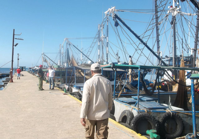 Flota de Júcaro