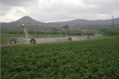 Inversiones asociadas al Trasvase Este-Oeste favorecen agricultura holguinera