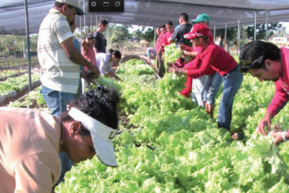 Resultados de la Jornada Nacional de Trabajo Voluntario este fin de semana