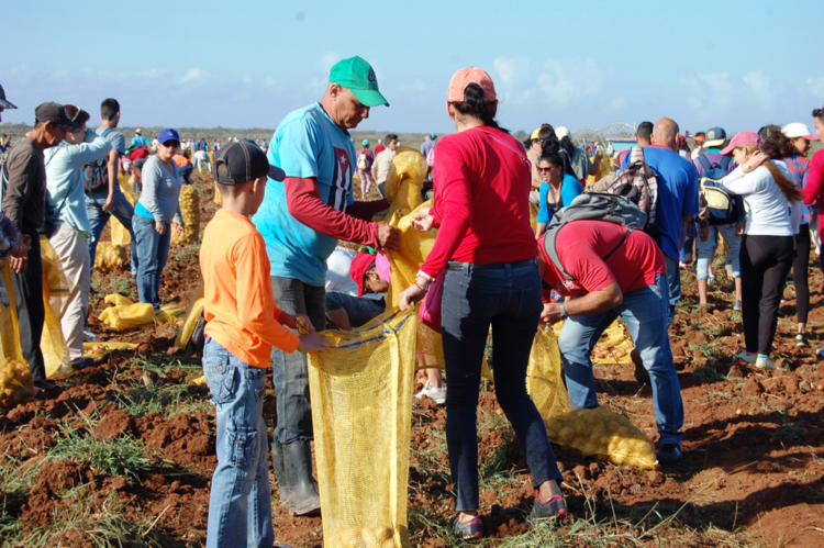 jornada de trabajo voluntario