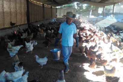 Desafío desde el Tercer Frente