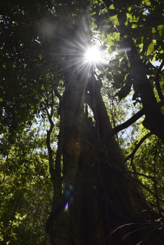 Foto: Agustín Borrego Torres