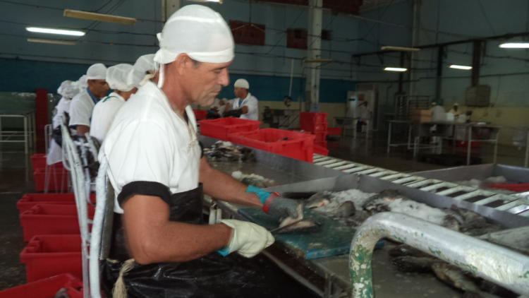 industria pesquera