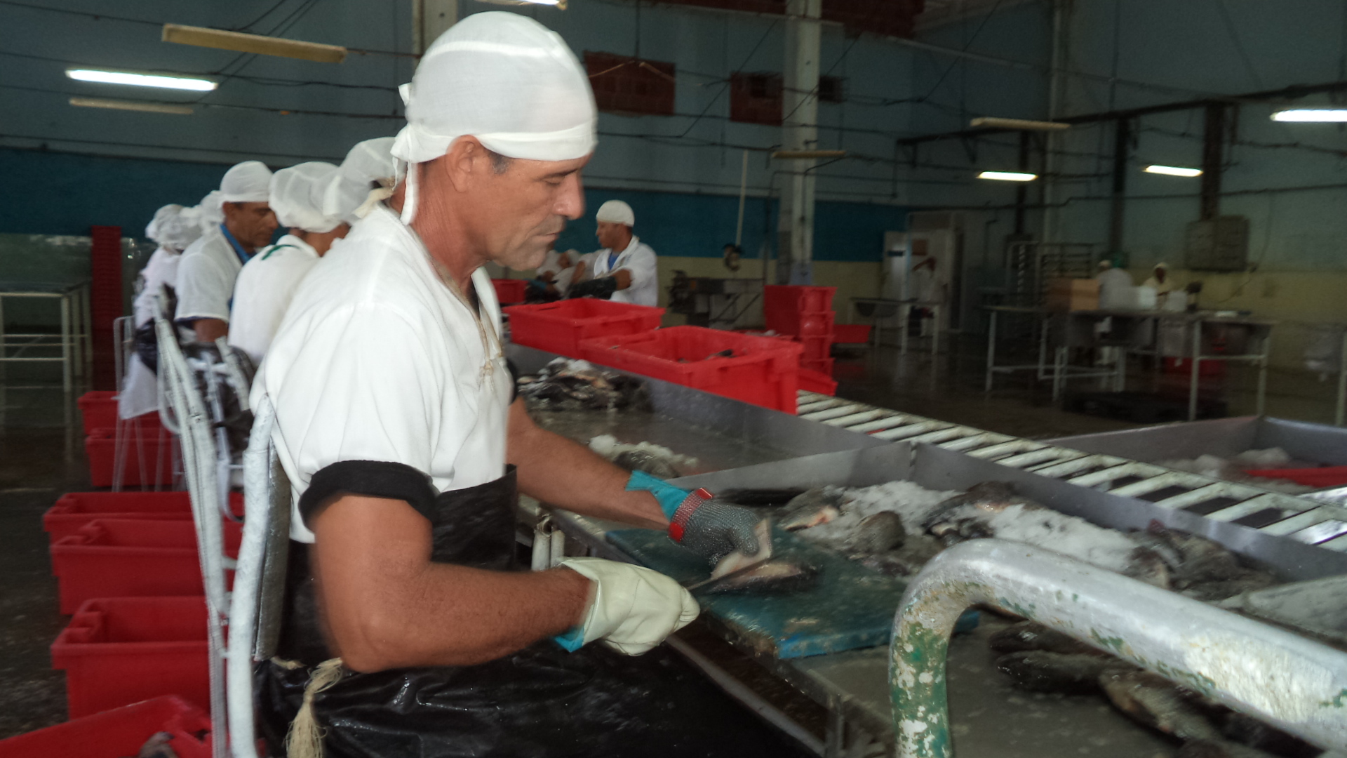 industria pesquera