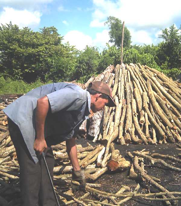 El carbón vegetal continúa como un rubro que contribuye a la sostenibilidad de los procesos productivos del sector. Foto: Ángel Chimeno Pérez