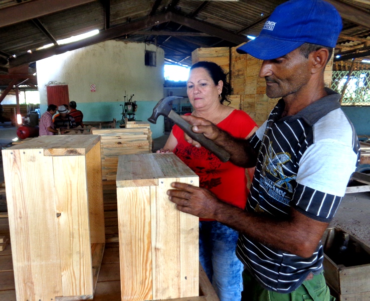 La producción de elementos de colmena son soporte en el desarrollo de la apicultura. Foto: Ángel Chimeno Pérez