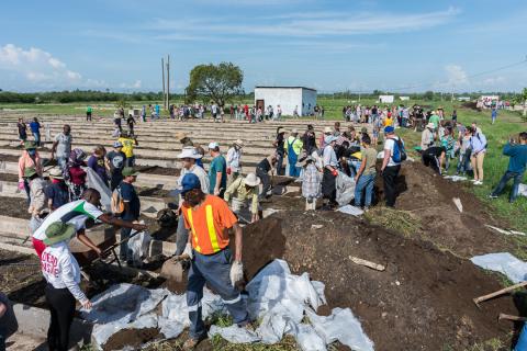 Los brigadistas apoyaron en la transportación de abono en los canteros del organopónico. Foto: Leandro Armando Pérez Pérez