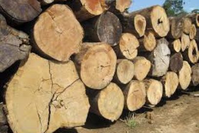 Duda con peso económico