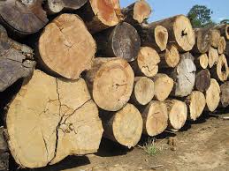 madera