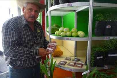 La semilla es lo primero