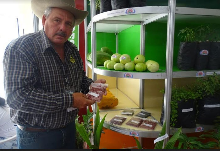 Los mejores productores se han convertido en extensionistas y en aportadores de semillas. Foto: Ana Margarita González