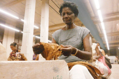 Sarah: una vida, una historia, mucho valor