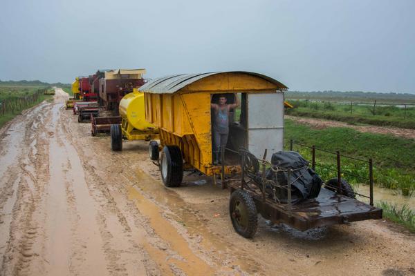 Equipamiento técnico imposibilitado de entrar a cosechar el arroz por las malas condiciones de los campos a causa de las significativas lluvias asociadas a la tormenta subtropical Alberto. Foto: afael Fernández Rosell