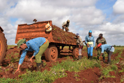 Producir en armonía con la naturaleza