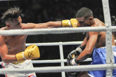 Domadores al desquite en Serie Mundial de Boxeo