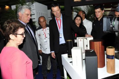 Díaz-Canel undertakes intense work agenda in the capital