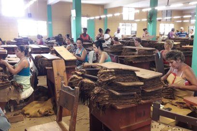 Iniciaron debates del documento Bases para el Fortalecimiento de la Misión del Movimiento Sindical Cubano en Pinar del Río