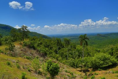 Mérito al trabajo: Celebrará municipio La Palma día del trabajador forestal