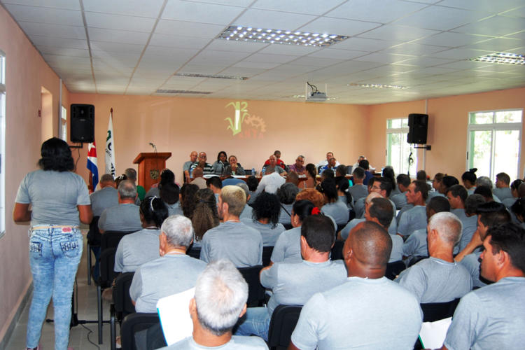 Los delegados ratificaron el compromiso de laborar con el propósito de aumentar la producción de caña y de azúcar. Foto: Barreras Ferrán.